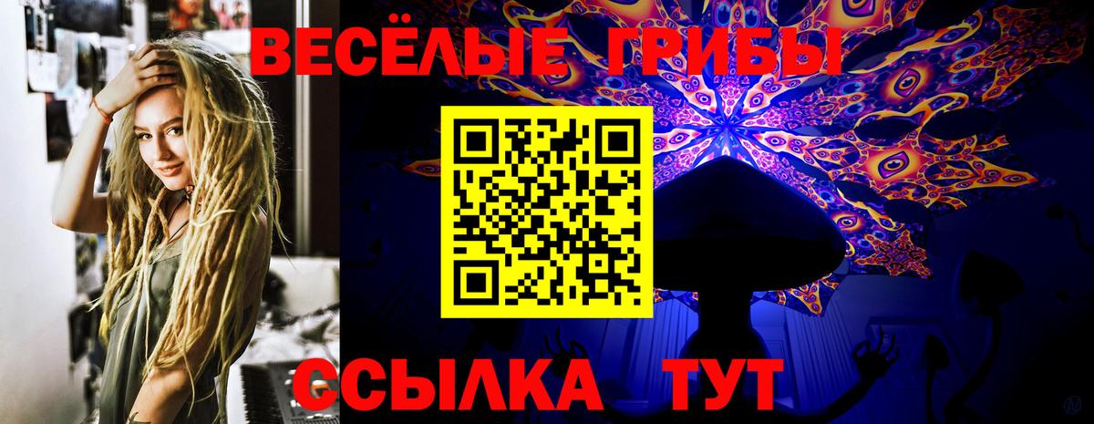 Псилоцибиновые грибы прущие грибы  Вход с VPN  Кемерово  Галлюциногенные грибы мицелий 